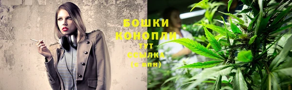 сатива Нягань