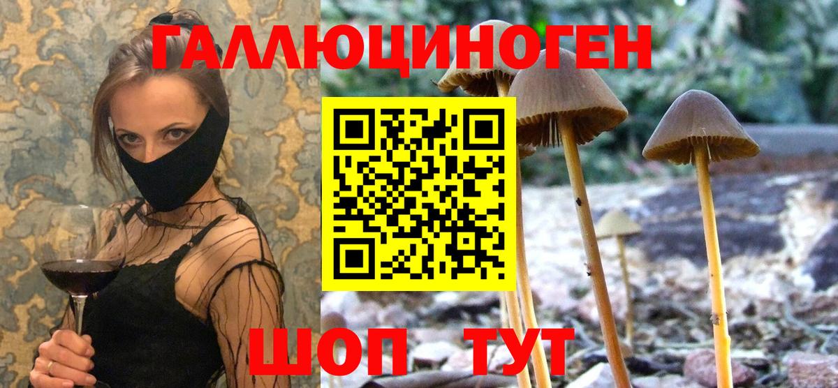 Псилоцибиновые грибы прущие грибы  где найти наркотики  Солнечногорск  Вход с VPN 
