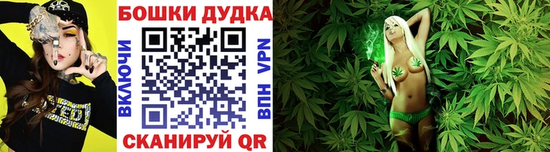 где купить наркотик  Солнечногорск  Конопля OG Kush 